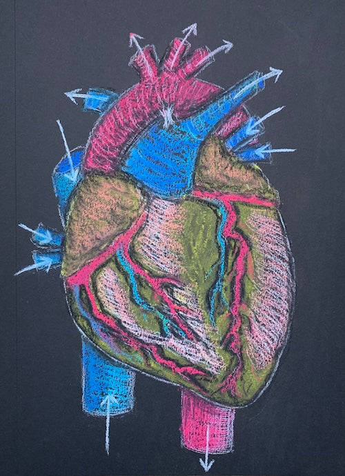 Blood Flow
