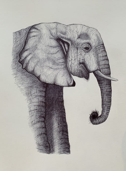 Inked Elephant