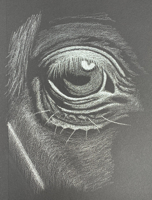 The Eye of the Night Mare