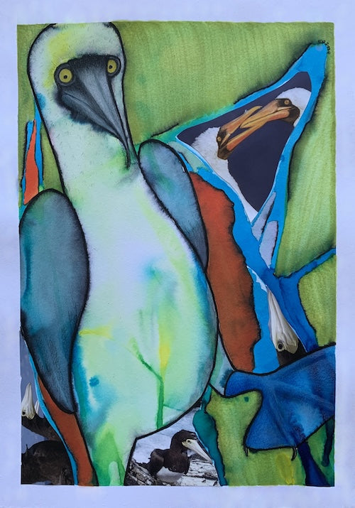 Winged Creature No. 6: The Blue-Footed Booby