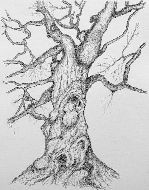Knots of Time