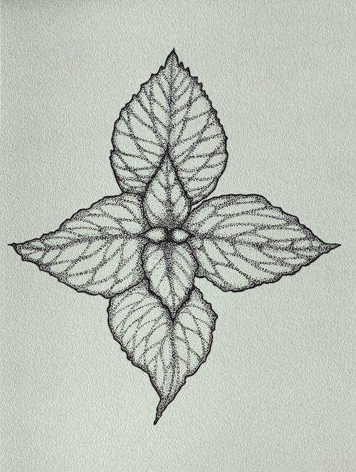 Leaves in Pointillism