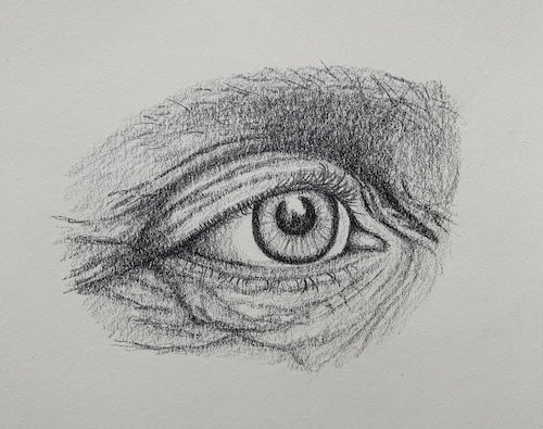 The Oracle's Pupil