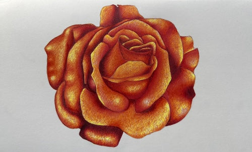 Ember Bloom