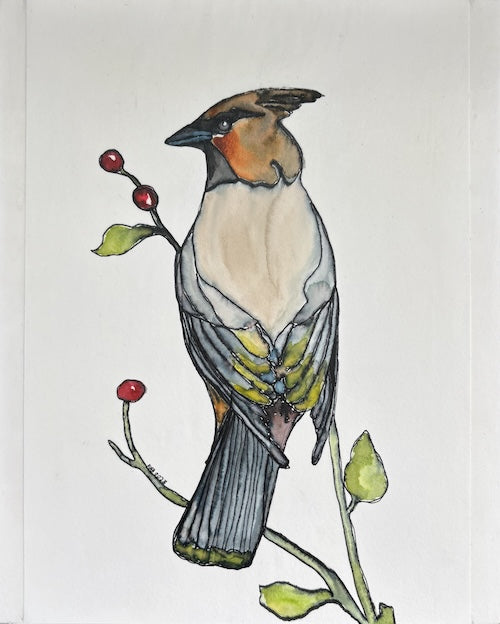 Silent Song of the Bohemian Waxwing