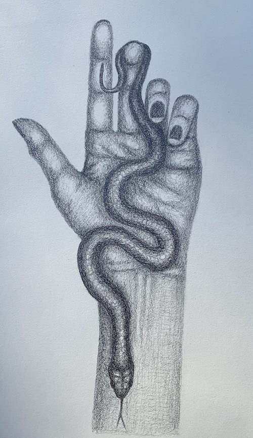 Hand Study with Snake