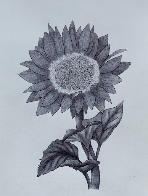 Sunshine in Strokes