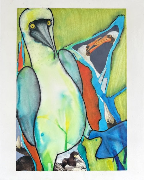 This Bird Has Seen Things