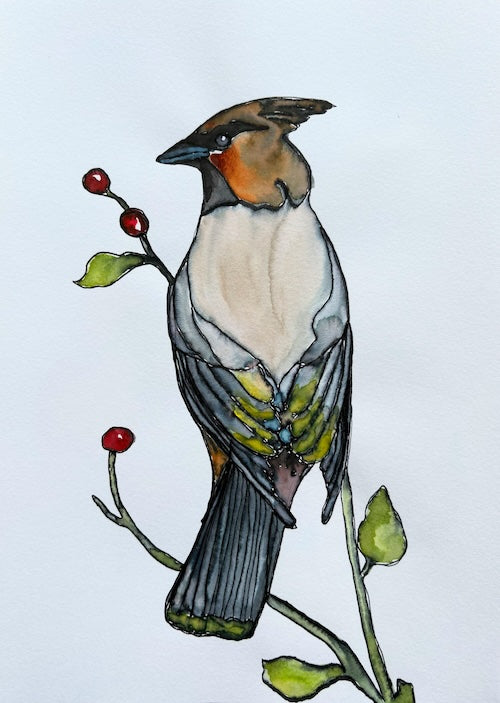 Silent Song of the Bohemian Waxwing