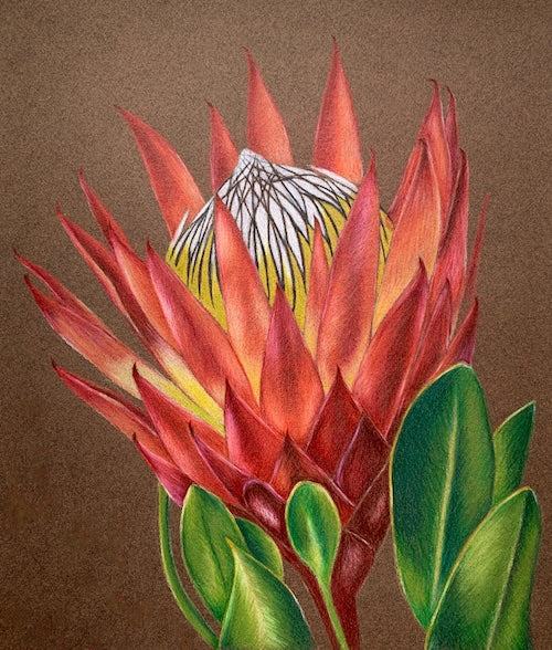 Wild Blossom