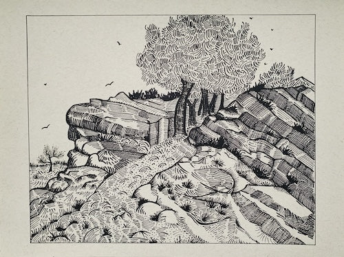Study of Vincent Van Gogh's "The Rock of Montmajour with Pine Trees" (1888)