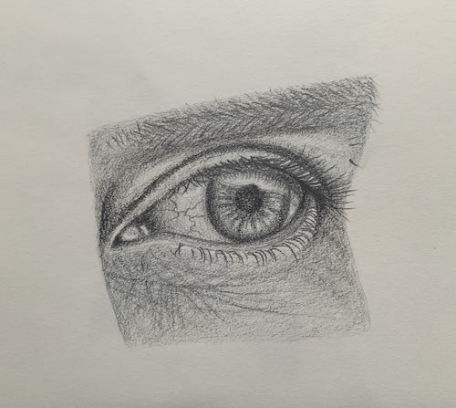 The First Glimpse of Forever